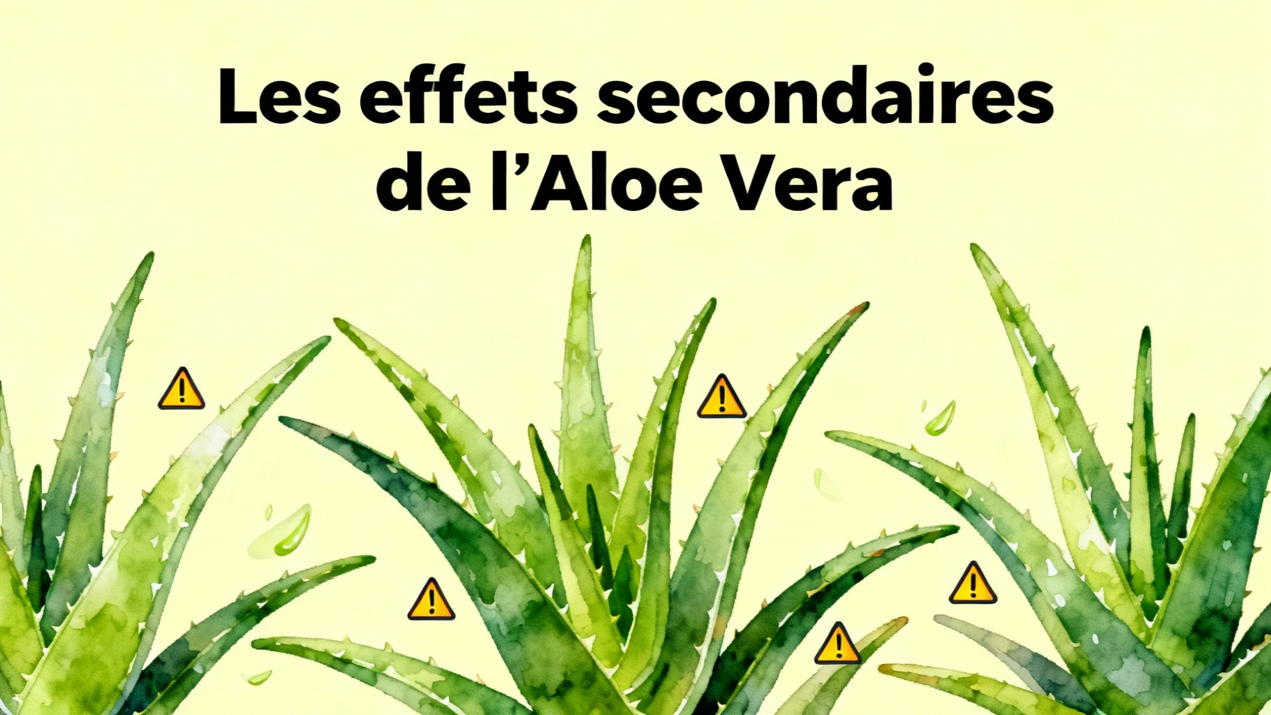 Les effets secondaires de l’Aloe Vera